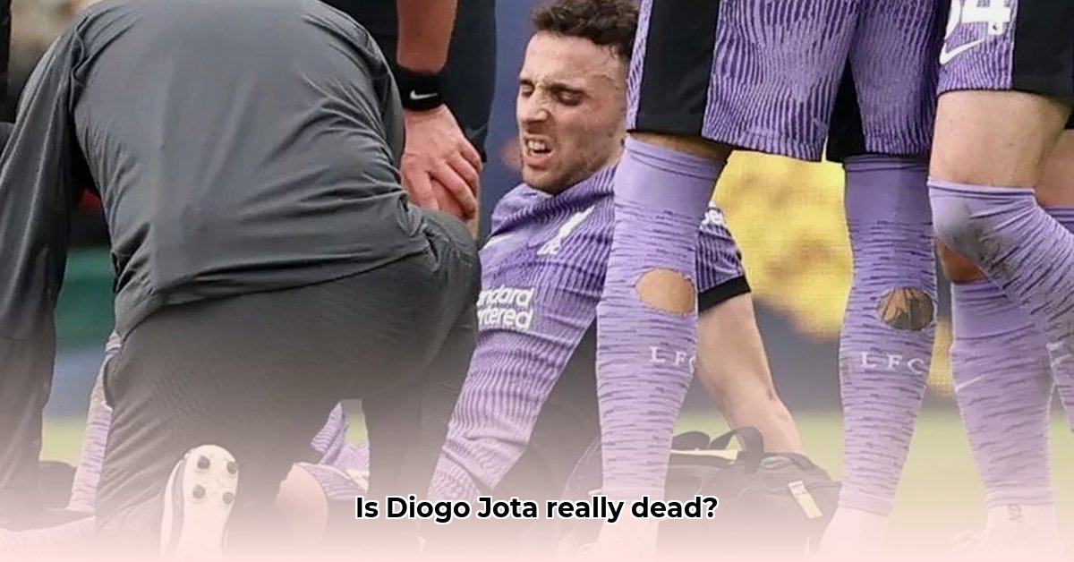 diago-jota-dead